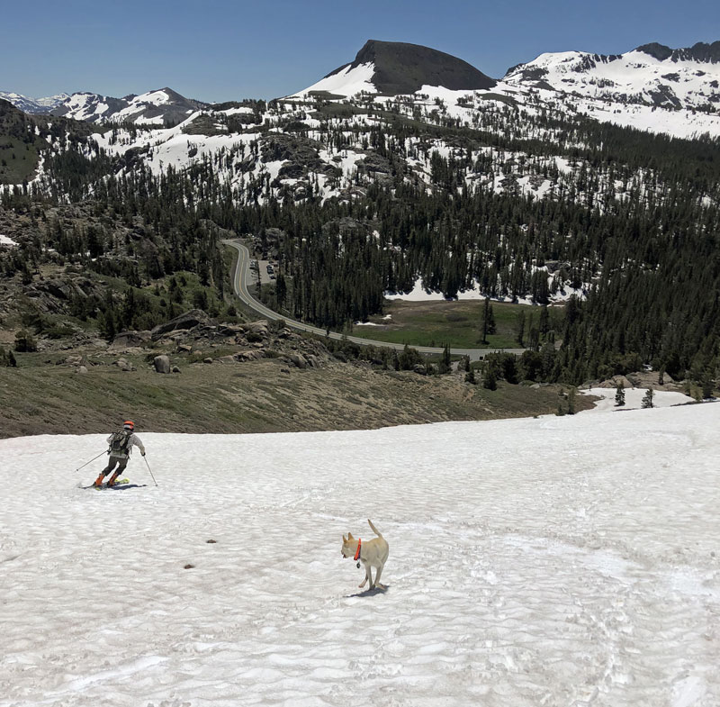 Zooey watches Spence