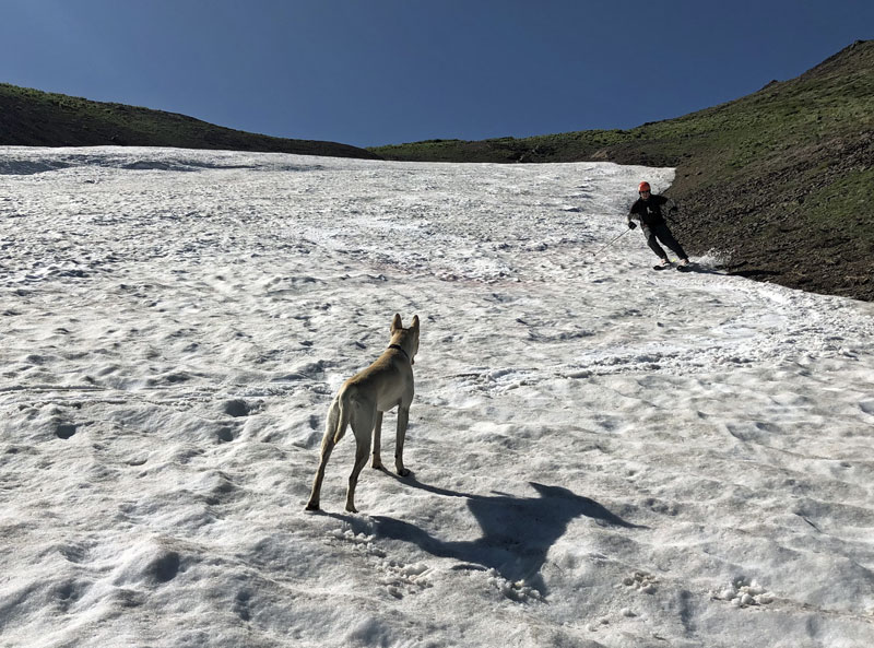 Zooey watches Spence skiing near the edge of the Near Backside Patch