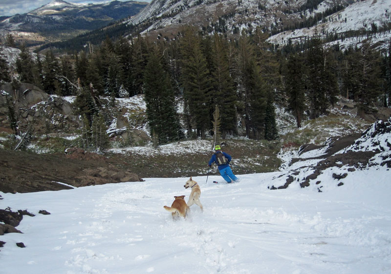 Penny, Zooey, and Stev