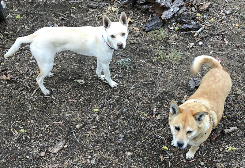 Zooey and Penny