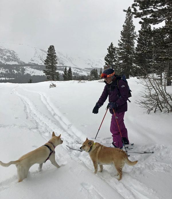 Zooey, Penny, and Stev