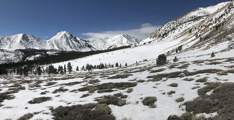 Panoramic View