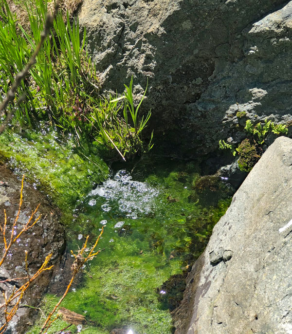 Bubbling emerald colored stream