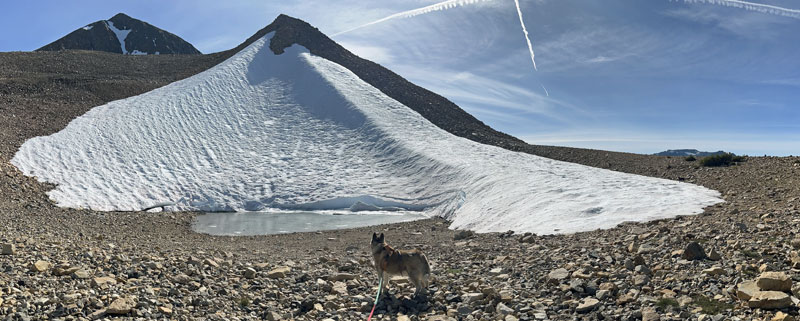 Hazel, Trixie, and Zooey in fromt of Jack's "Glacier" below Dunderberg Peak