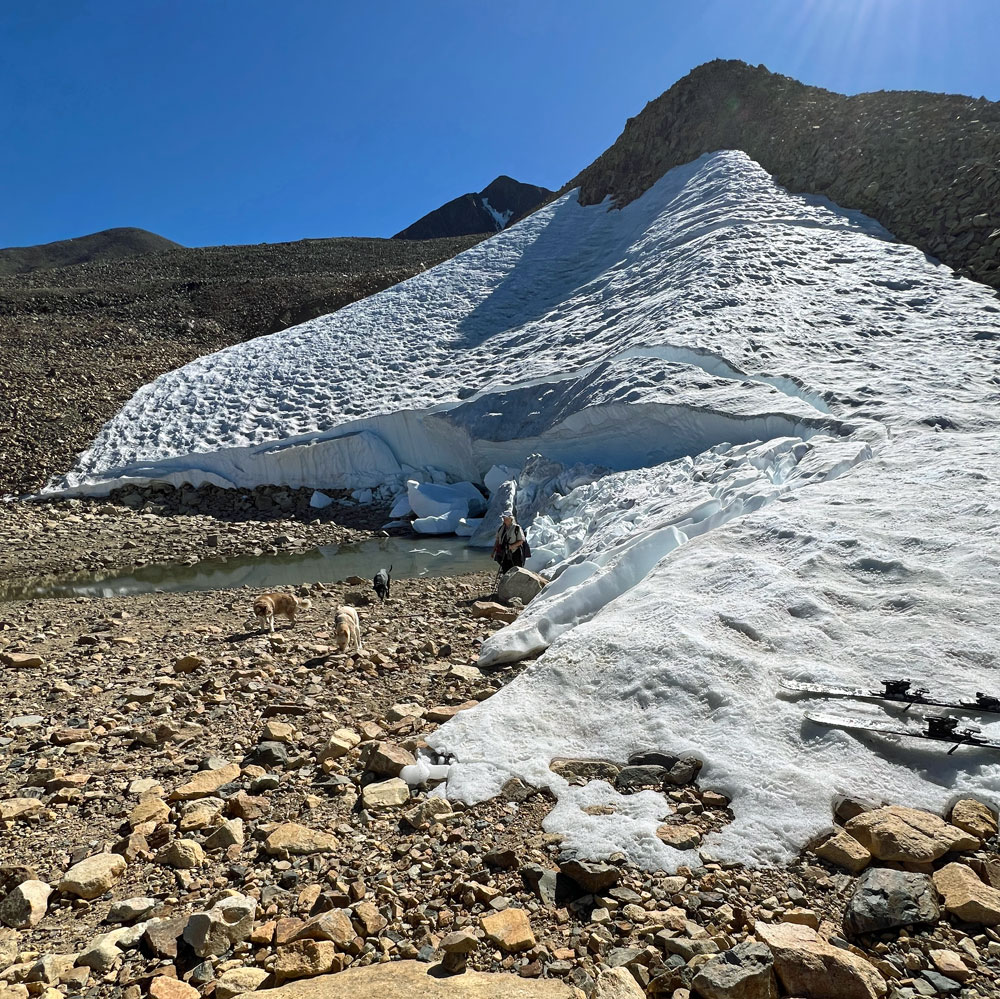 Hazel, Zooey, Trixie, and Michele below Jack's "Glacier" and Dunderberg Peak.