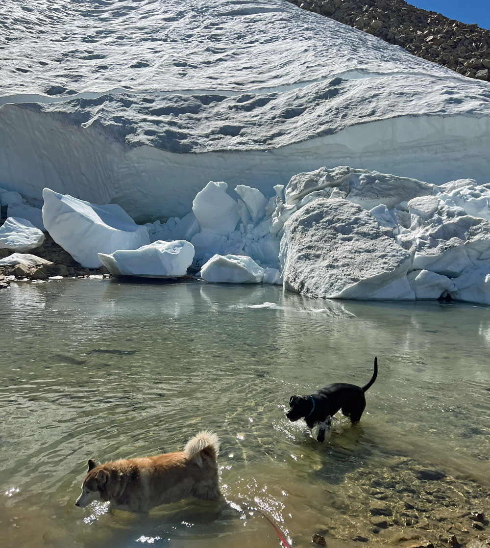 Hazel and Trixie in the pond below Jack's "Glacier"