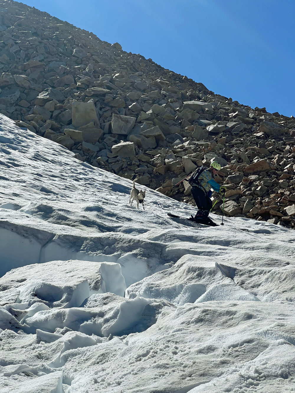 Zooey follows Stev on another run