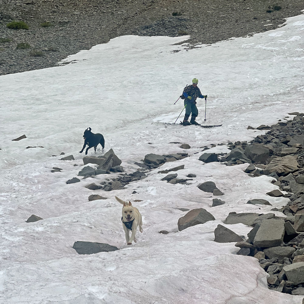 Zooey, Trixie, and Stev