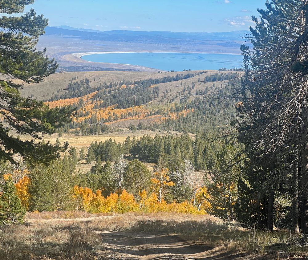 We had a great view of of Mono Lake on our drive back down