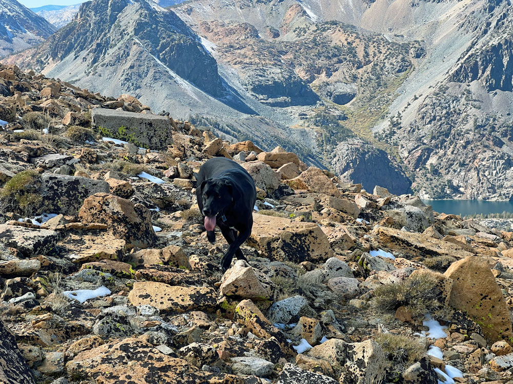 Trixie on Kavanaugh Ridge