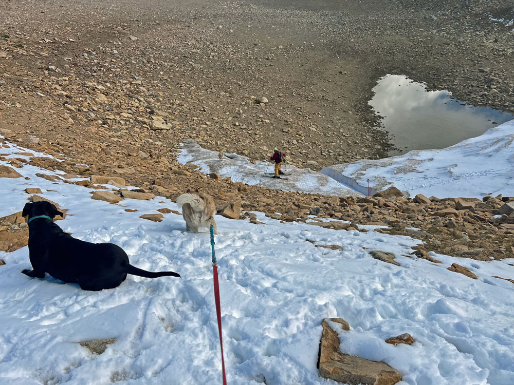 Trixie and Hazel watch Zooey and Stev