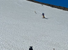 Zooey follows and Trixie runs up to greet Stev on the Horseshoe Patch