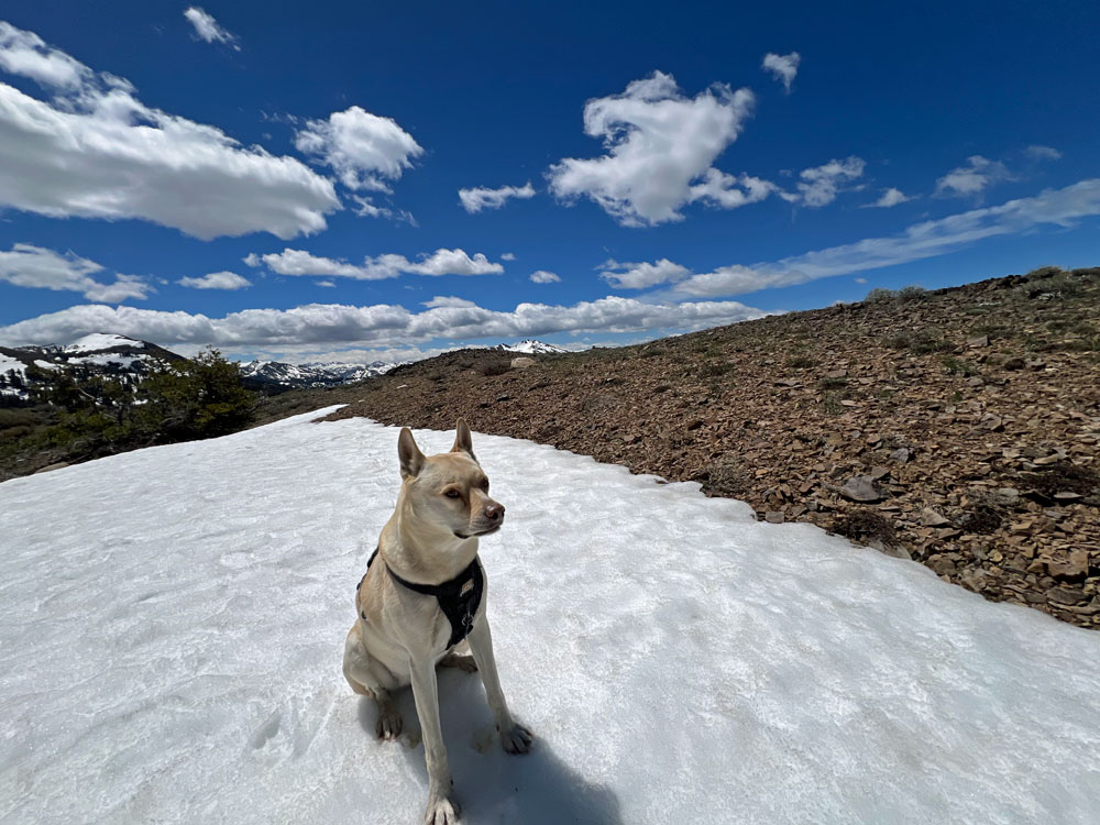 Zooey at the top of the Exit Strategy Patch