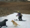 Trixie, Zooey, and Stev