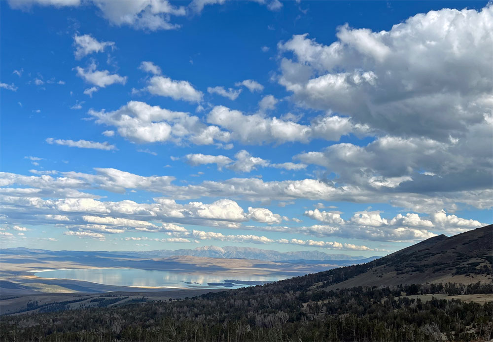 A view of Mono Lake